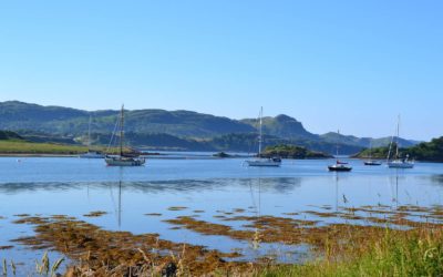 Croisière été 2026