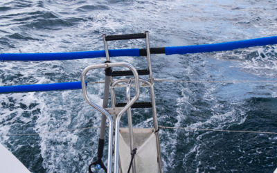 Saison 2025 Bretagne Scilly Irlande